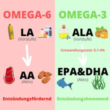 natuRise Omega3 Algenöl Kapseln